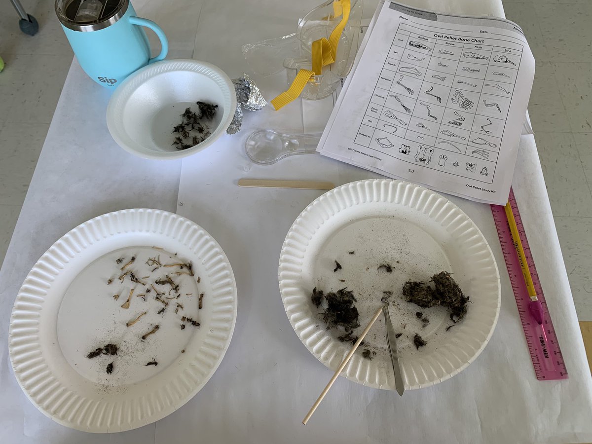 Mr. Nogar tweet media