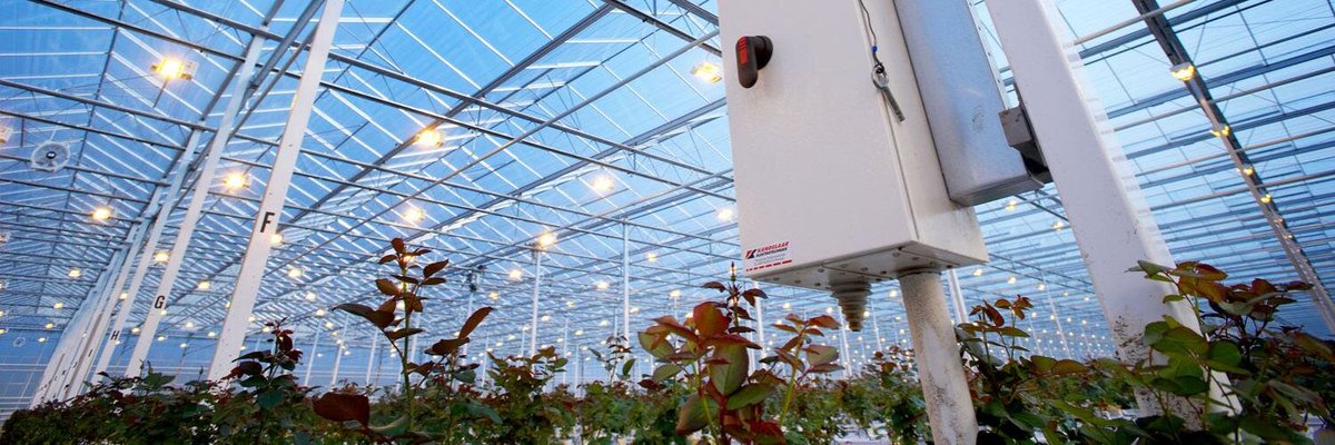 WUR Glastuinbouw ➡ @WURplant (@wurglas) on Twitter photo Het account <a href="/WURglas/">WUR Glastuinbouw ➡ <a href="/WUR/">Wageningen U&R</a>plant</a> is niet meer actief. Wil je weten wat er gebeurt bij de business unit <a href="/WUR/">Wageningen U&R</a> #glastuinbouw? Volg 👉🏽 <a href="/WURplant/">WUR Plant</a>.
The account <a href="/WURglas/">WUR Glastuinbouw ➡ <a href="/WURplant/">WUR Plant</a></a> is no longer active. Do you want to know what's happening at the business unit @WUR #glastuinbouw? Follow 👉🏽 @WURplant. Het account <a href="/WURglas/">WUR Glastuinbouw ➡ <a href="/WUR/">Wageningen U&R</a>plant</a> is niet meer actief. Wil je weten wat er gebeurt bij de business unit <a href="/WUR/">Wageningen U&R</a> #glastuinbouw? Volg 👉🏽 <a href="/WURplant/">WUR Plant</a>.
The account <a href="/WURglas/">WUR Glastuinbouw ➡ <a href="/WURplant/">WUR Plant</a></a> is no longer active. Do you want to know what's happening at the business unit @WUR #glastuinbouw? Follow 👉🏽 @WURplant.