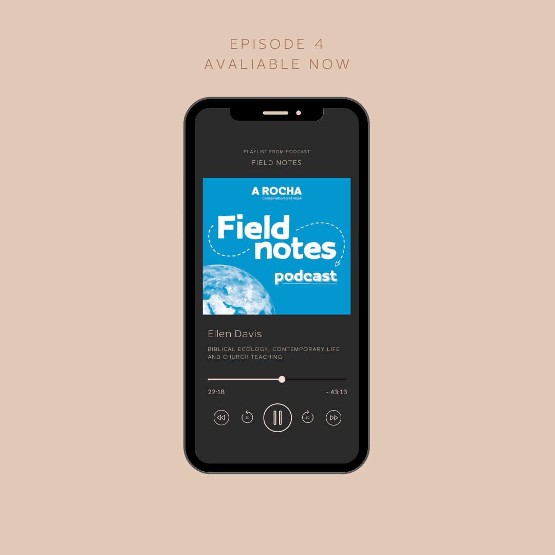 arochaint's tweet photo. Have you listened to the latest episode of the Field Notes #podcast?

Ellen F. Davis speaks to Peter &amp; Bryony about her personal interest in the environmental content of scripture, the teaching of the church on climate issues &amp; more.

🎧 Catch-up online https://t.co/bfTVMaSm3n https://t.co/4RPs7eIZLF