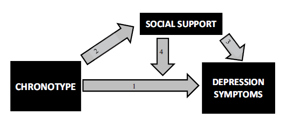 michaelgrandner's tweet photo. New paper led by student Chloe Wills just published! (with @atubbs_sleep @AmyAthey @robertturnerphd @rebeccasrobbins @UA_SCAN_Lab et al).

Why is late chronotype is linked to depression? Maybe partly due to lack of social support (everyone is asleep).

 https://t.co/COSVjvGekM https://t.co/XrBAMEnr6n