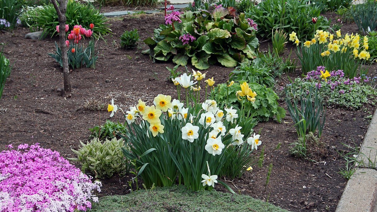 friendsTBcon's tweet photo. Although COVID-19 has closed #ThunderBay's Botanical Conservatory you can still take a socially distanced stroll around the grounds to enjoy the beautiful spring blossoms.
#WearAMask #StaySafe #OutsideExercise #WalkTBay #QualityOfLife #TBay https://t.co/5X1LNfPTnm