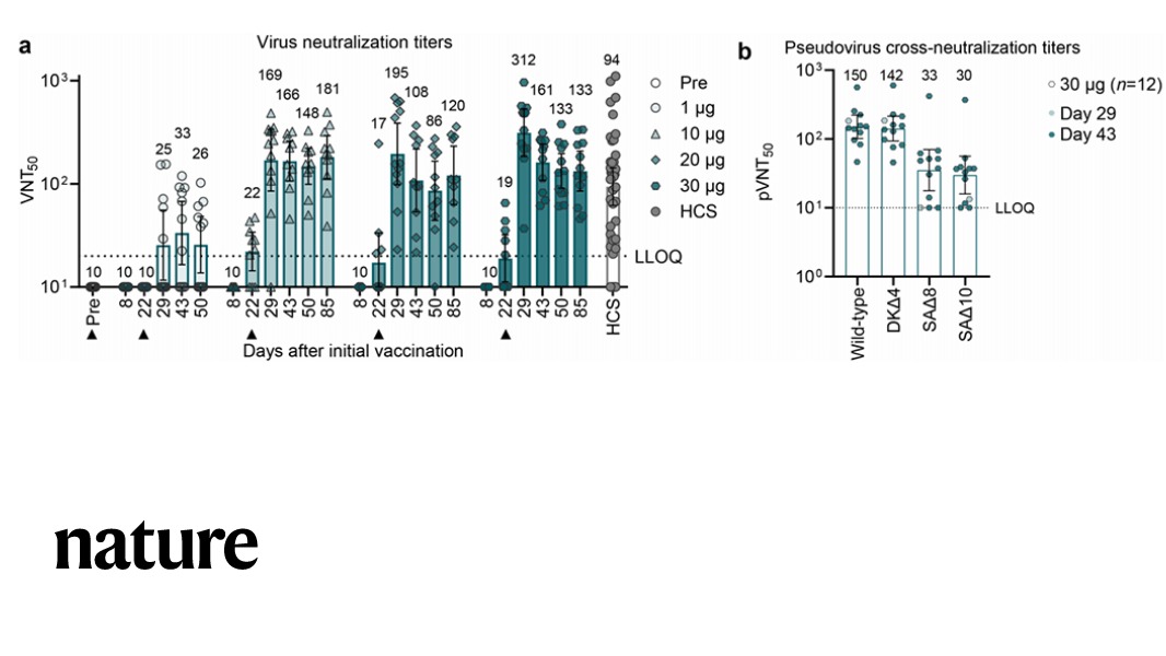 Nature's tweet photo. The Pfizer-BioNTech COVID-19 vaccine elicits an adaptive humoral and poly-specific cellular immune response against epitopes conserved in a broad range of variants at well tolerated doses, according to a Nature paper. https://t.co/2cZ3RfE1cN https://t.co/oDPSkvIIrK
