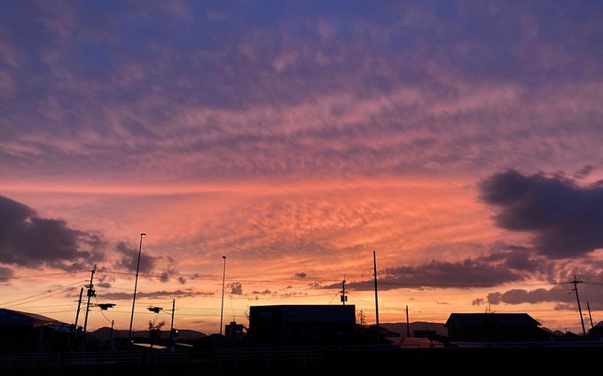 誕生月が近づいてテンションや運気が上がって来たのか「描きたいもの」が増えてます。夜更かしは控えたいですが「せめてここだけでも塗ろう」が60分とかになるので自制を頑張らねばと思います。効率を考えれば「しっかり寝てしっかり描いて」が良いんでしょうけど。 