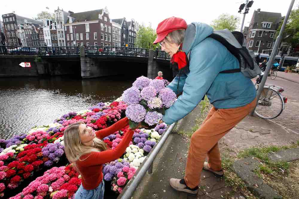 Na het frisse en natte pinksterweekend is het hoogste tijd voor het #zomergevoel. Daarom vaart een kleurrijke #hortensia bloemenboot door de Amsterdamse grachten. 
De actie is een initiatief van #Hydrangeaworld, een collectief van hortensiaveredelaars en -kwekers.

#hydrangea