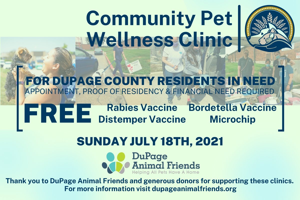 DuPageCAS's tweet photo. There's still appointments available for our next 🩺Community Clinic🩺 on Sunday July 18th, 2021! Schedule at https://t.co/vlu9CSsRYx

Thank you again to DuPage Animal Friends for helping us make this a permanent program at DCAS. https://t.co/dfQvw5RDvS