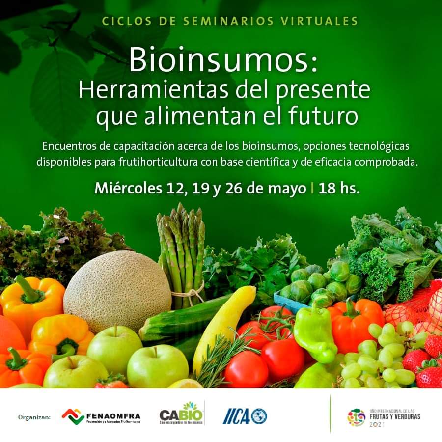 AdolfoBercheni's tweet photo. Felicitamos al Ing. Agr. Pablo Senes, DT #Proviv por la impecable explicación y descripción en el seminario virtual sobre #bioinsumos
#Formosa #IICA #FENAOMFRA #horticolas #ValorAgregado #produccion #sostenibles #inocuo #alimentos #Radifort #Argentina #rendimiento https://t.co/Cf1TSlRPBI