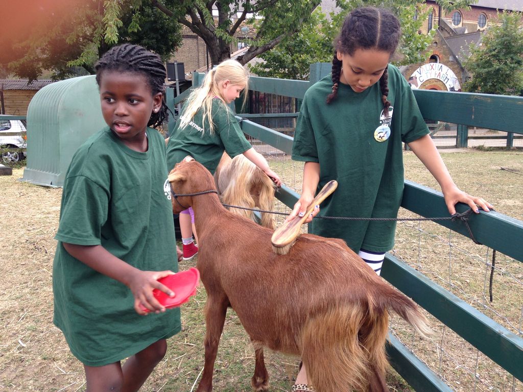 VauxhallFarm's tweet image. COUNTDOWN TO HALF TERM: Our activity club is booking up fast. Make sure you secure a place for your little one.

Find out more through the link in our bio or at vauxhallcityfarm.org/events/june-ha…