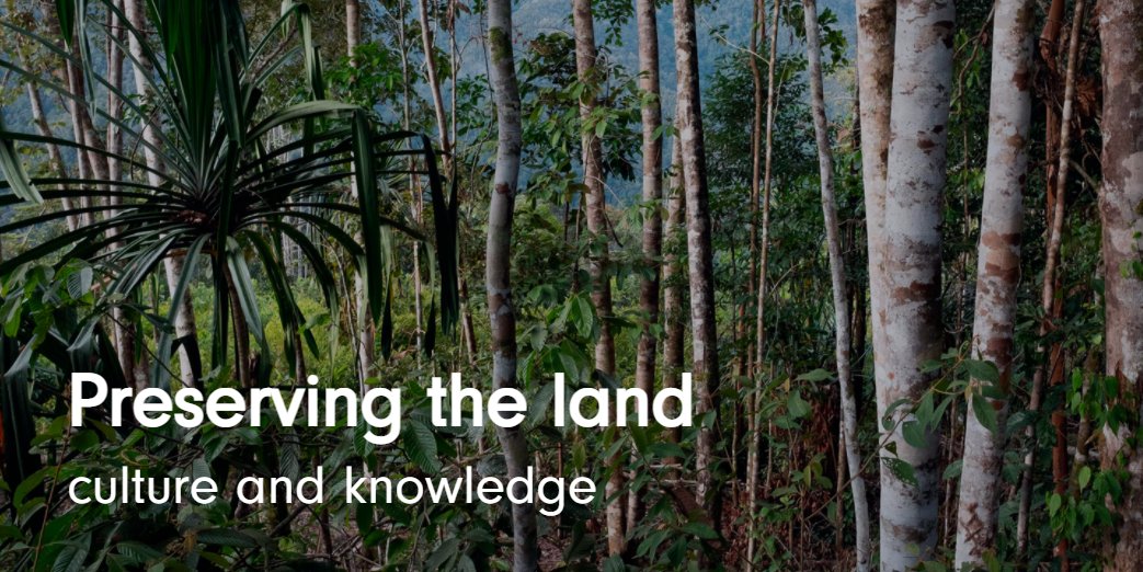 Cadasta Foundation tweet media