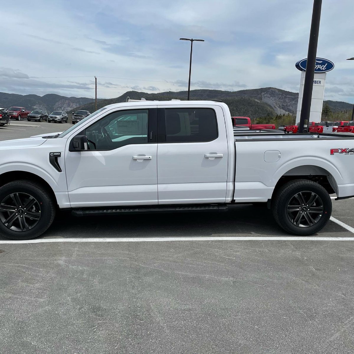 Humber_Motors's tweet photo. ALERT! ALERT! It’s been a while since a new 2021 F150 FX4 SPORT landed on our parking lot and it’s not pre-sold! Especially this sharp looking puppy with 20” wheels, remote start and power adjustable pedals for you extra short extra tall husband wife combos!

Who wants it? https://t.co/pahkKNX3qV