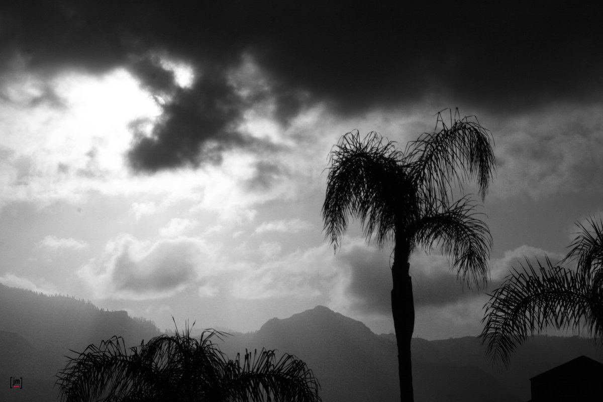 #spain🇪🇸 #españa #españa #spain❤️ #spainphoto #sunsetview #sunsetviews #sunsetgram #sunsetsky #palmeras #skycolors #skycolours #landscapecity #landscape_captures #city #cityphotography #photooftheday #instadaily #wickoshot #port #portraitphotography #blackandwhite #Tenerife