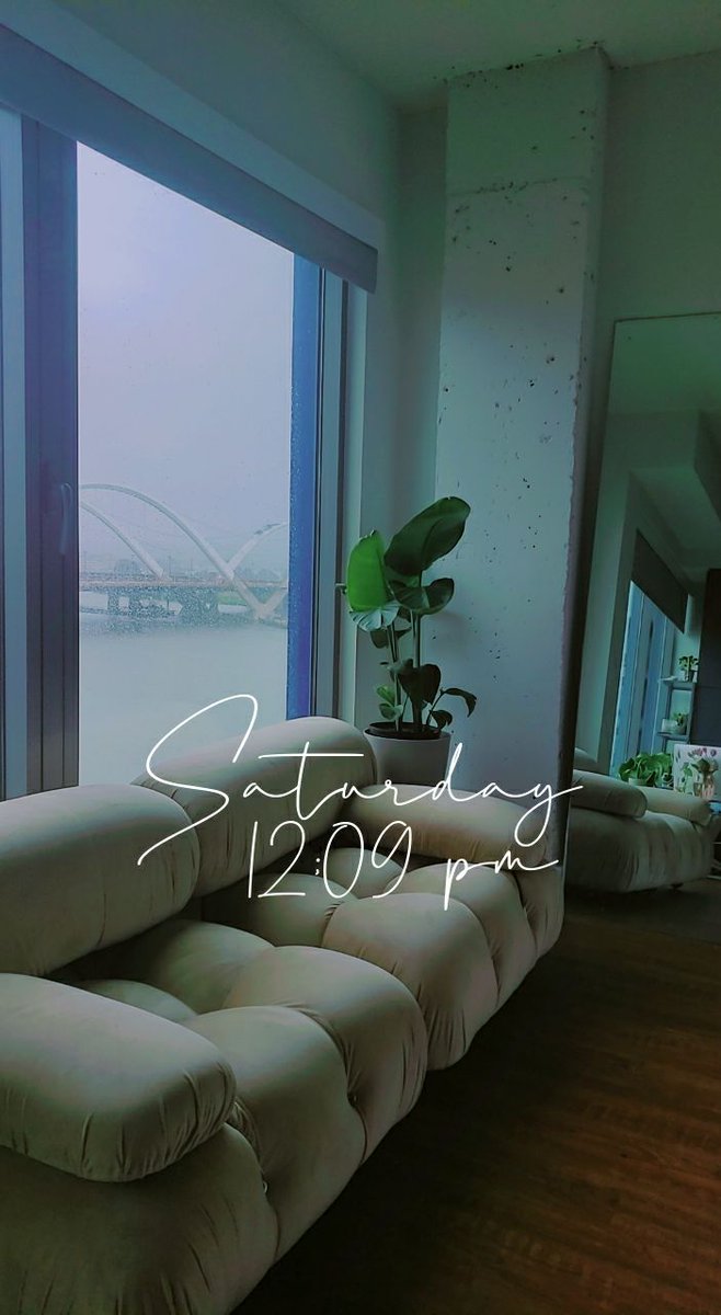 When your sofa arrives after an 18 week lead time... I can rest my little head and take a nap whenever. #wfm