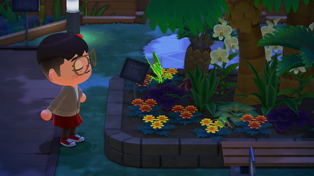 limplaysac's tweet photo. The butterfly room has got to be my favourite 💖🦋🌻 
#ACNH #AnimalCrossingNewHorizons #AnimalCrossing https://t.co/bxHAOE7gqf