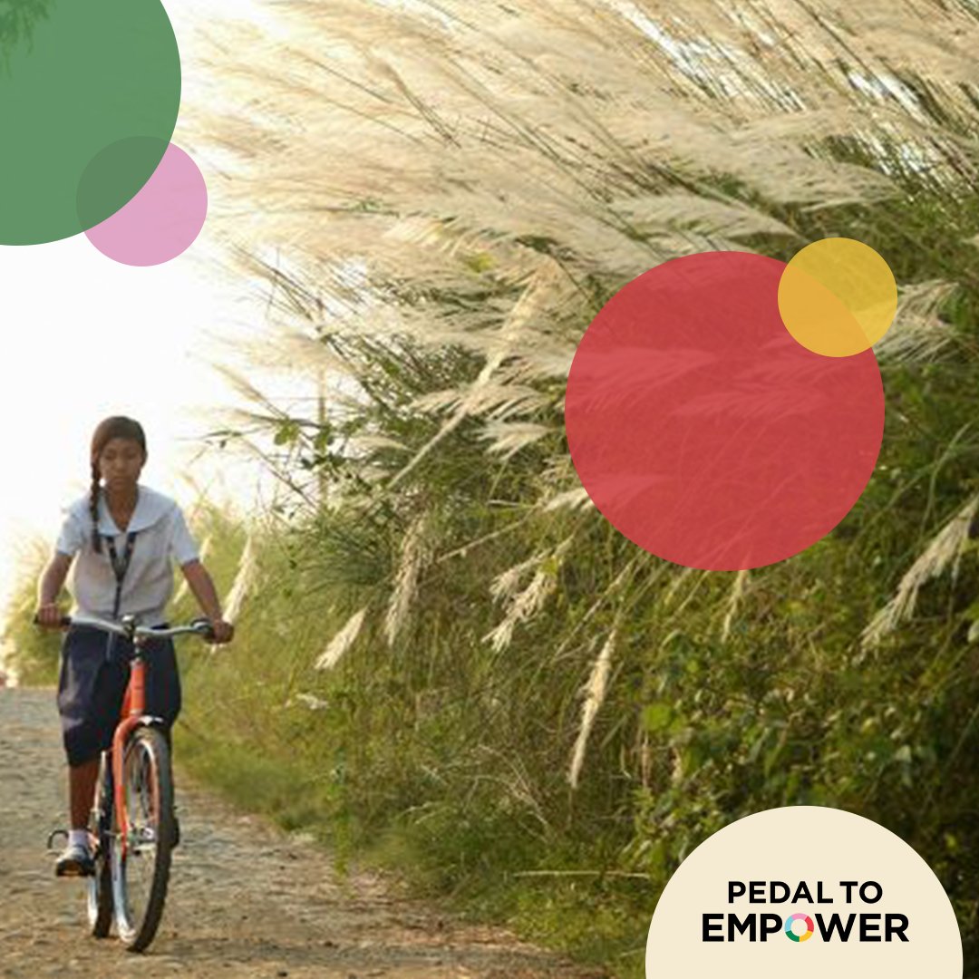 powerofbicycles tweet media