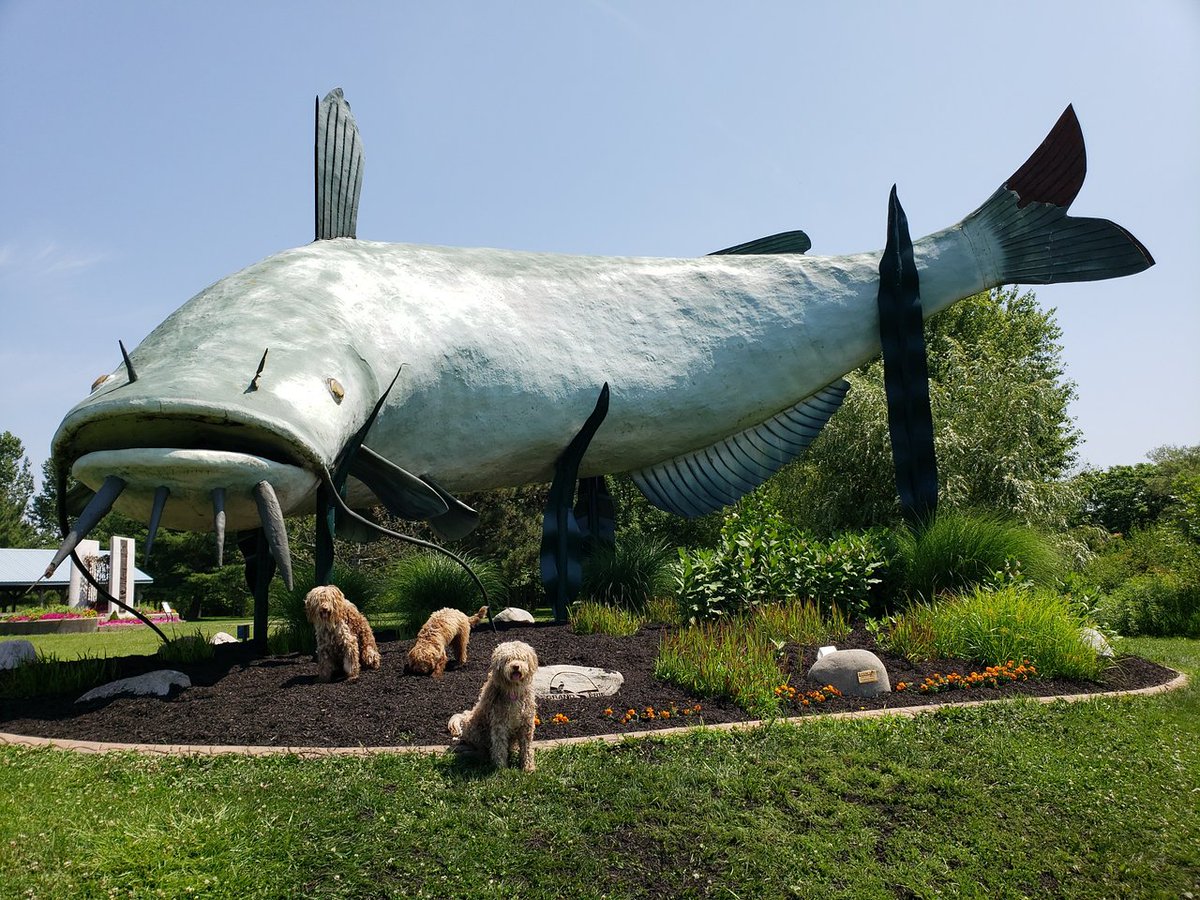 BogochIsaac's tweet photo. Over 163,000 vaccines were administered so far today in Ontario (as of 8pm). That's a pretty big day. 

About 35% of these were 2nd doses...glad to see this picking up steam.

(This is "Muddy the Mudcat" in Dunnville, Ontario 👇) https://t.co/BTo0kGA1dK