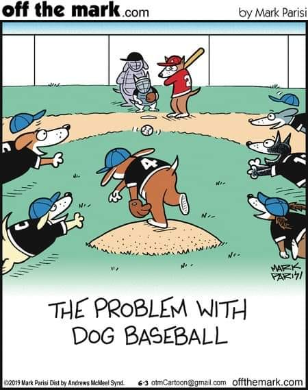 baseballinpix's tweet photo. https://t.co/CApIOxKbVF