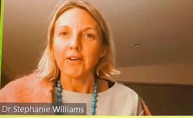 APLMA_Malaria's tweet photo. Dr Williams @AusAmbRHS representing the region on the #MalariaWinWin panel and highlighting key ingredients to end #malaria - political leadership, empowered citizens, integrated approaches to country priorities and country tailored support 👏🙌 @malarianomoreuk @CentreHealthSec https://t.co/LgfilSEOla