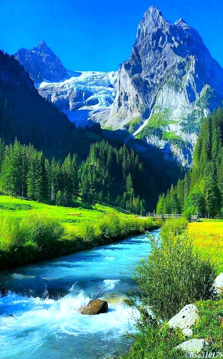 SummerK17742538's tweet photo. Good Morning My Gorgeous Friends 💙💙💙💙💚💚💚💚💚💚💚💚💚 https://t.co/VJRS1f7ri8