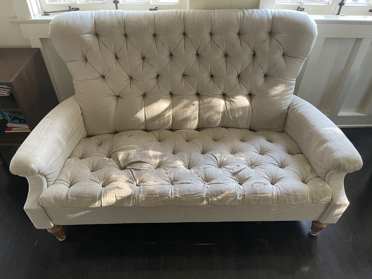 JG Quintel (@jgquintel) on Twitter photo 