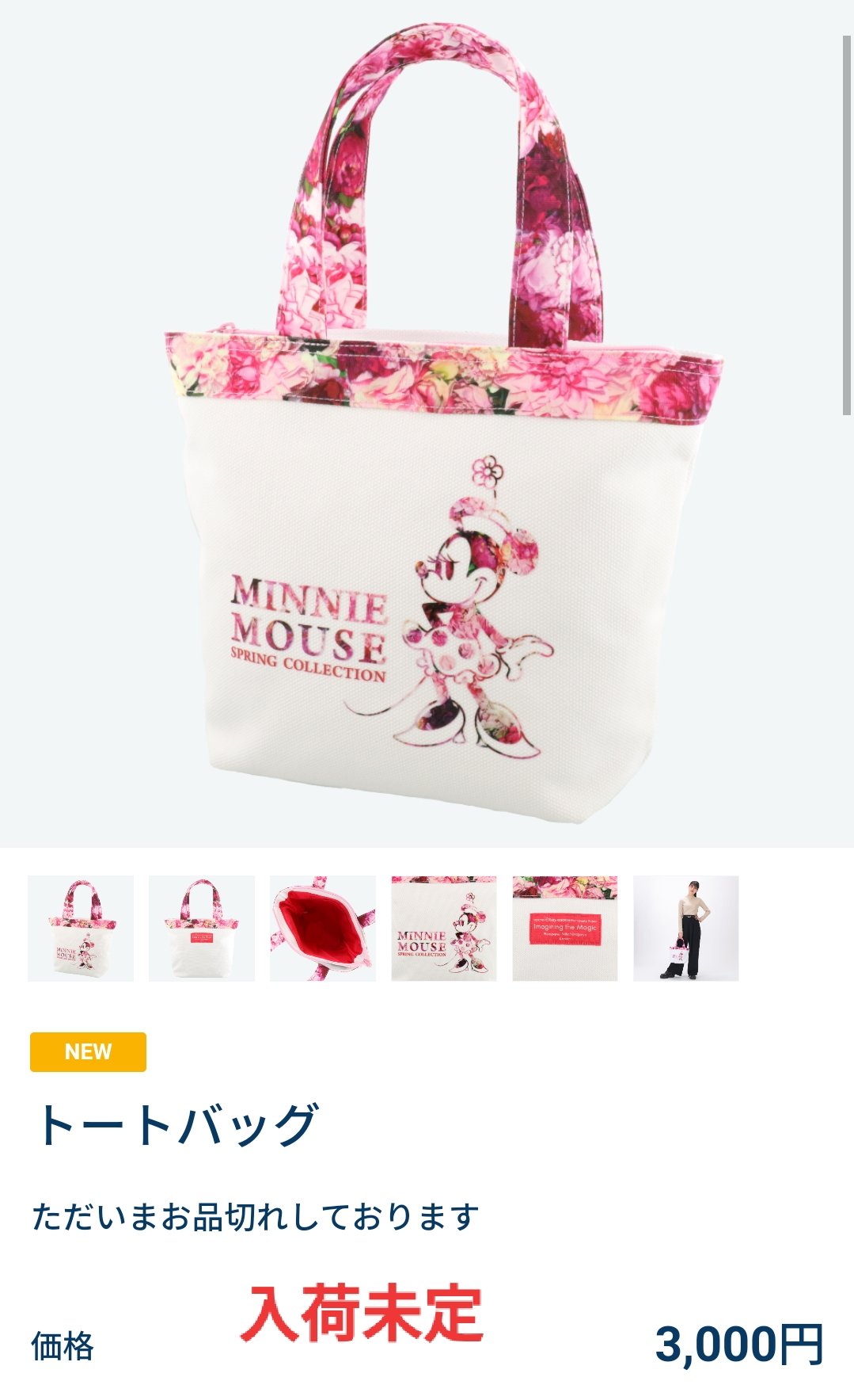 Tdr ディズニー ぷらん Love Disney N なおみんさん 初めまして 巾着とミニーちゃんの春コスのトートバッグは明日はギャグファクトリーとディズニー カンパニーとボンボで販売予定になりました 朝限定オンライン販売ではこの2つだけ対象外で他は個数