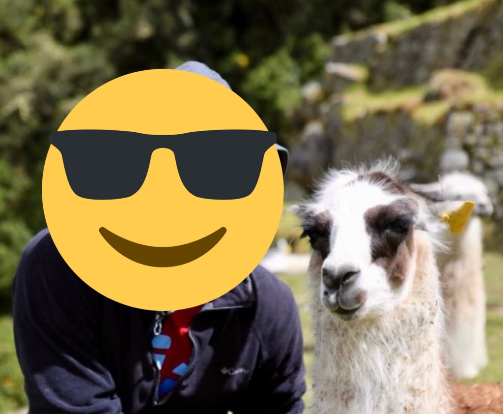 Unsure of this dog breed but 11/10, seems like a good girl or boy, would alpaca my bags to visit and boop. 

#SwipeRight #DogsOfDatingApps #DramaLlama #Bumble