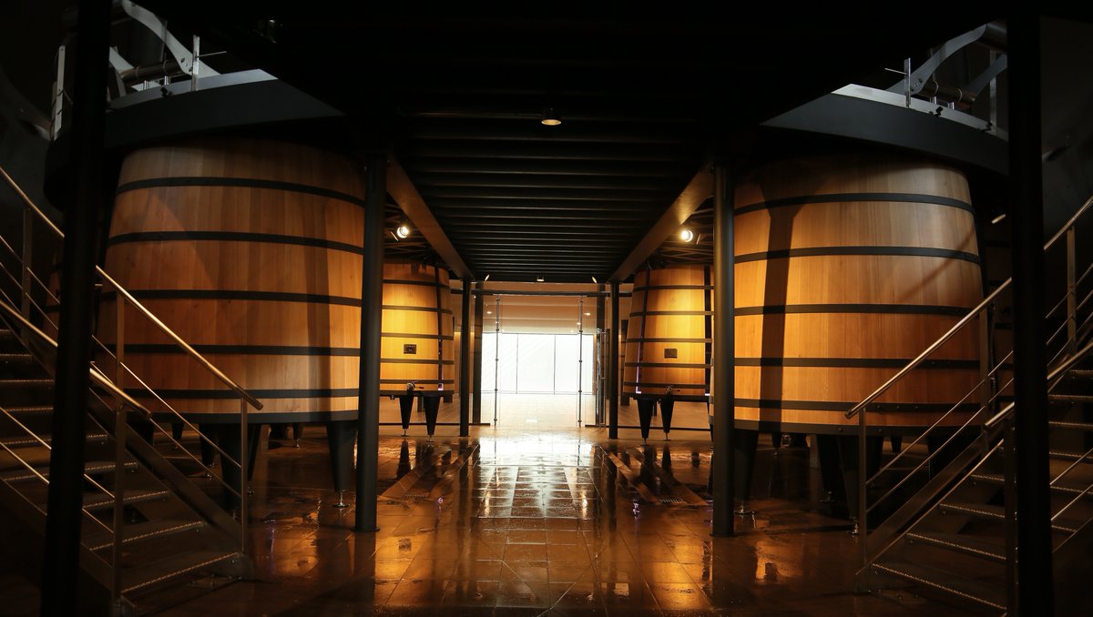 WineandSpirits's tweet photo. Did you ever think you would see oak of this size in the cellar at #ChâteauFigeac? That's not all that's changing. Read a #fieldreport from #FionaMorrison, MW, on the many changes afoot in #Bordeaux as the region adapts to #climatechange.

https://t.co/RKk97XIcSH #EnPrimeur #wine https://t.co/7NsD9tUt0L