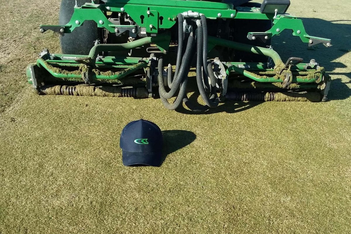 Modern Turf - Rembert tweet media