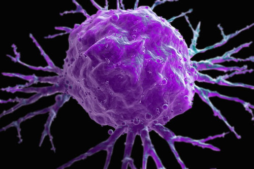 I am cancer. Раковые клетки анимация. Дендритные клетки на белом фоне.