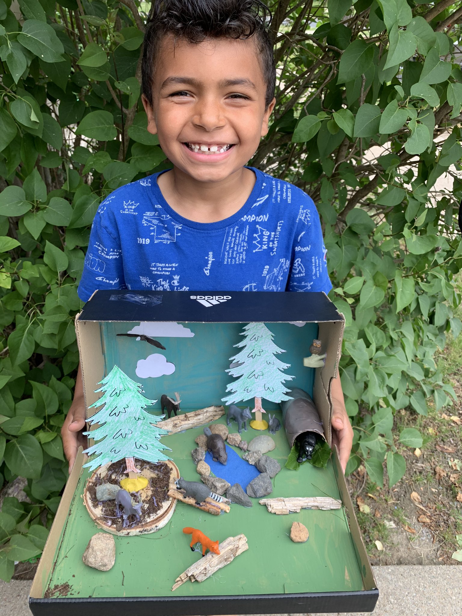Jessica Parham (Medeiros) op Twitter: "Zachs habitat diorama! Third one we  have done for the second grade project in his house! Arctic, ocean, and now  the woodlands! https://t.co/cBaMuaYDcj" / Twitter