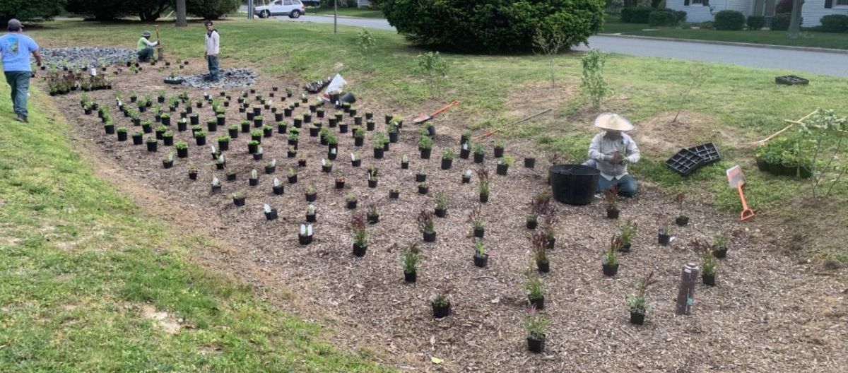 BuildUnity's tweet image. Unity's June 2021 Newsletter conta.cc/3pisczq