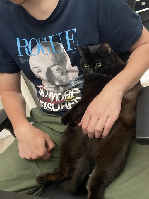 My cat https://t.co/cVT5pT90Dw