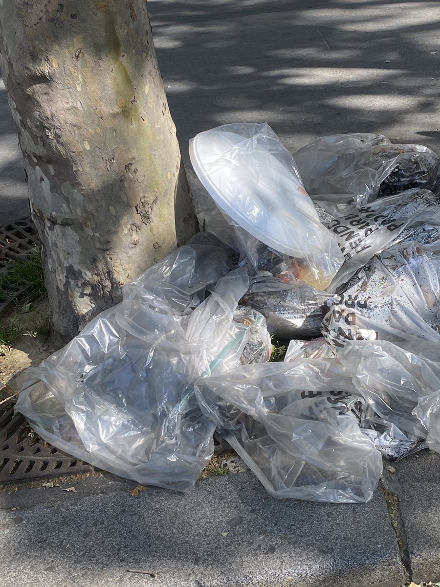 Nitnelas's tweet photo. #saccageparis 112 boulevard de Courcelles 
@Anne_Hidalgo #malpropre 
🤢🤮👎😡#Beurk https://t.co/eVRHVPrOw4