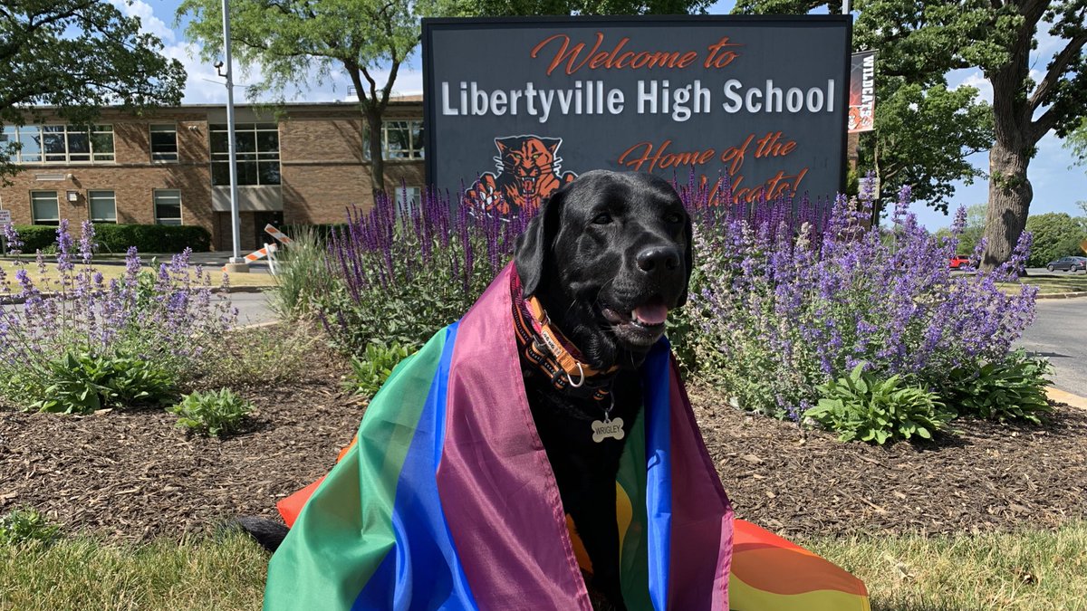 Hugs and ❤️ celebrating and honoring #PrideMonth to all of my Wildcats!  Love is Love - the end.  🧡🖤 🌈#PrideMonthPuppo