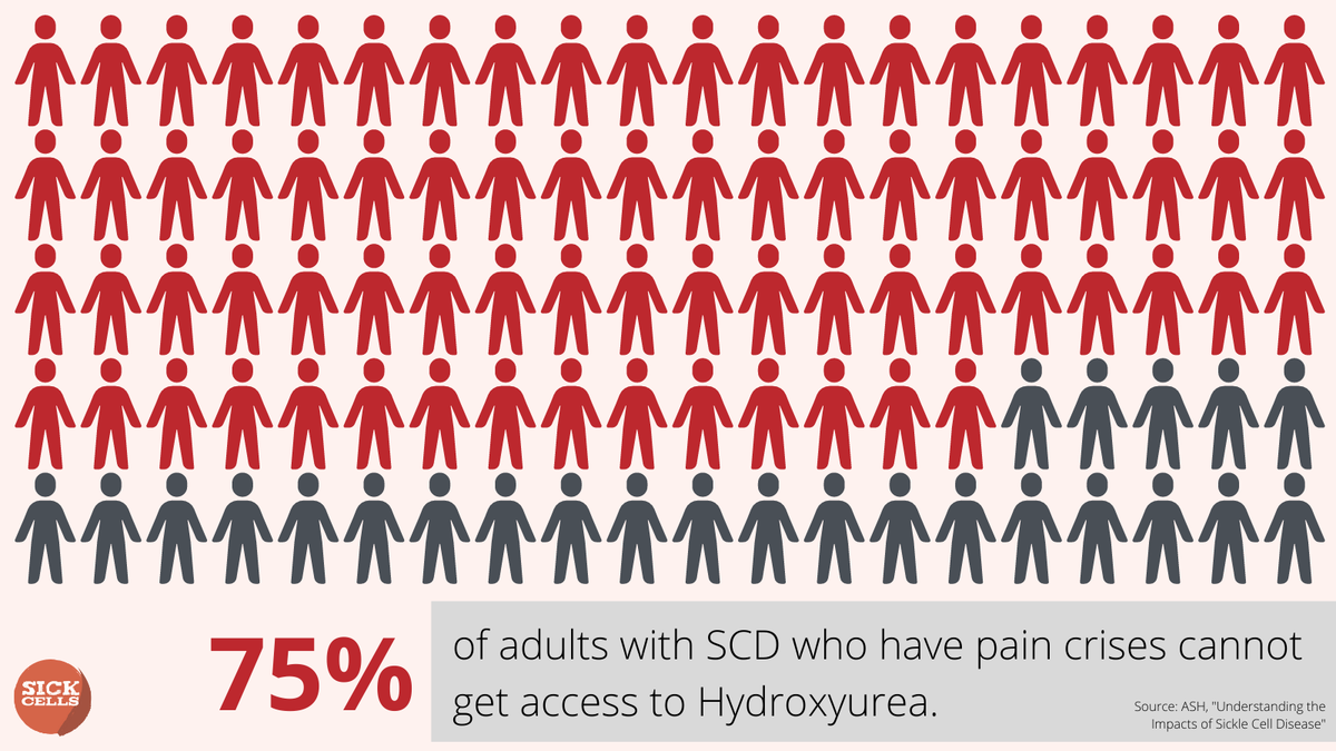 SickCells's tweet photo. People w/ SCD still struggle to get proper access to & coverage of basic SCD treatments like Hydroxyurea. We continue to advocate with our Ambassadors for better access & coverage @ P&T and DURB meetings across the country to show that SCD is different for every warrior. Join us! https://t.co/XFpR3Geg7h