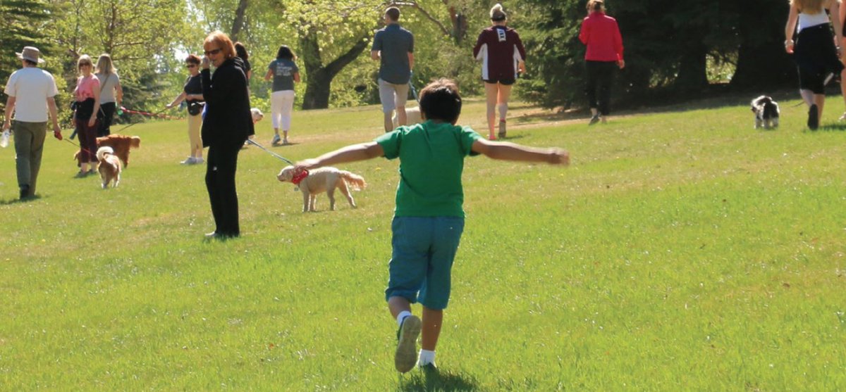 "I worry a lot about people who don't have the money to spend on professional #dog #training and that could be required. It's written right into the law," says Institute member <a href="/Rock_M/">Dr Melanie Rock</a> in regards to #yyc #dogbylaw via <a href="/CTVCalgary/">CTV News Calgary</a>