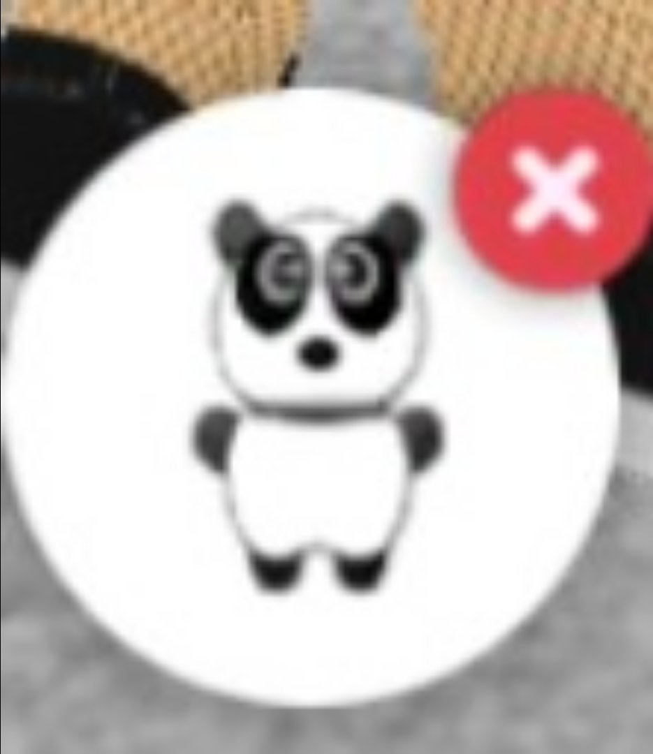 GGPizza2's tweet photo. @JacobRoss197 I don't have a offer lol but can you offer for a panda pal that's also pretty good https://t.co/IGZircp9EL