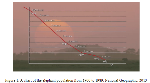 kevinnguyen39C's tweet photo. Ivory was used for many common items combs, brush handles, piano keys and pool balls and was in such great demand that the elephant population of 26 million in the 1800s dropped to 10 million in the 1900s, and continued to drop to a mere 600 thousand in 1989. #39canimals https://t.co/46bZR637gE