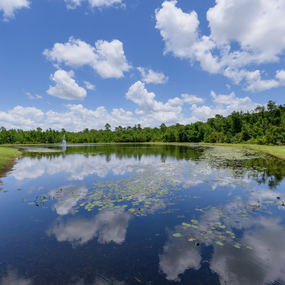 townsrealty's tweet photo. "Heaven is a place on earth"🎼 Have ever dreamed about having your little piece... https://t.co/LZWXe5mzOF https://t.co/CX7uW5ObSj
