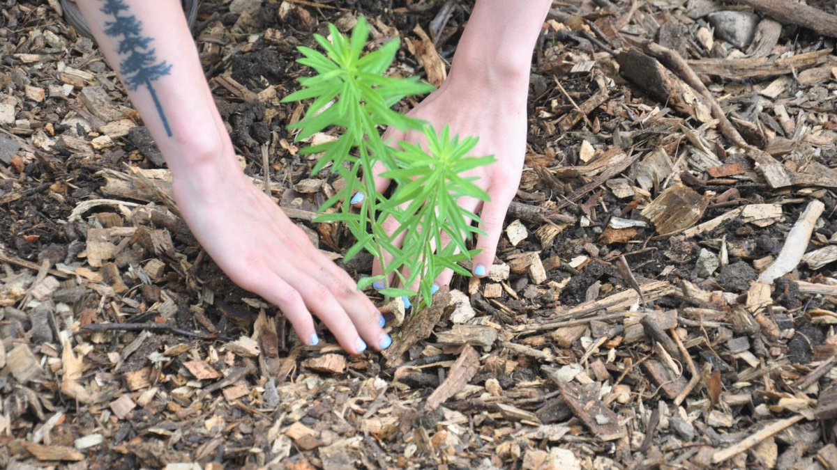 iSEE at U of I tweet media