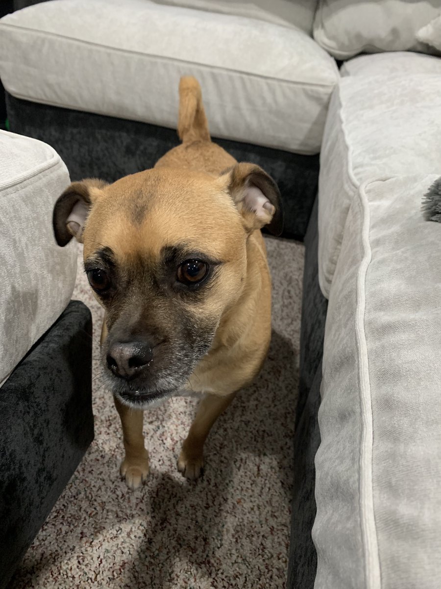 This is Tucker. He has an announcement to make: facebook.com/DoubleMotorcyc…