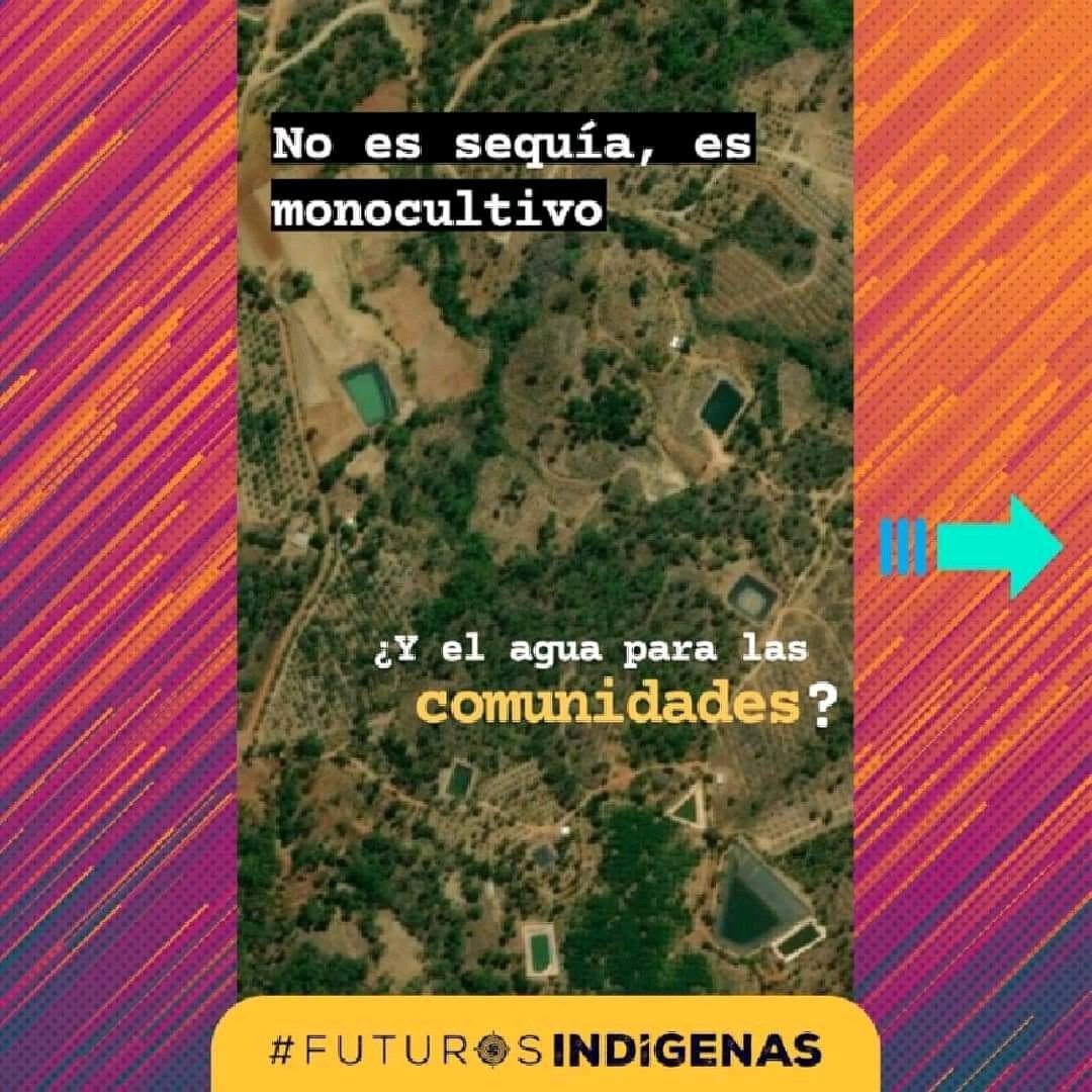 modebocu's tweet photo. El agua va dirigida y es privilegiada para la produccion agroindustrial de exportación. https://t.co/paJPCELFvG