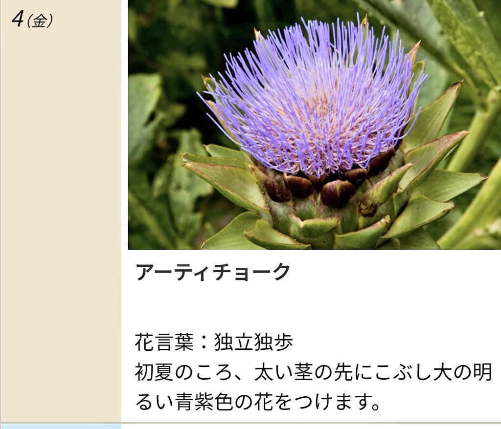 Okkeg Ococ 4ah おhappy です 今朝も 音がします 皆様も気を付けてくださいね 6月4日誕生花 アーティチョーク エキゾチックな雰囲気 花言葉 独立独歩 しっかり我が道を行けるのも素敵ですね Happy Birthday 今日の言葉 バネ 失敗の経験