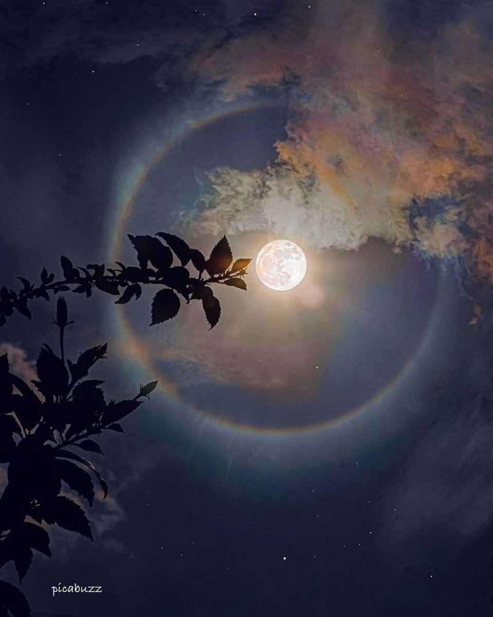 Flower Moon with Lunar Halo 🌕