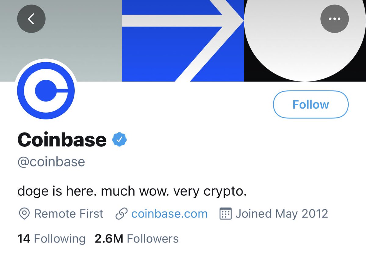 davidgokhshtein's tweet photo. #doge https://t.co/x4wbCo1AMK