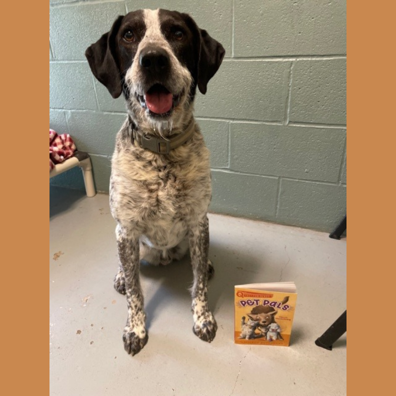 knglibrary_ny's tweet photo. Pet Pals Read Along
Sat 19 • 2pm

We are co-hosting with @UlsterCntySPCA a FREE bilingual English &amp; Spanish virtual read-along!

Join us as we read children’s author @AllisonPolkaDot’s book Mitzy’s Homecoming.  This is the first in her Pet Pals series, and is for ages 5-8.