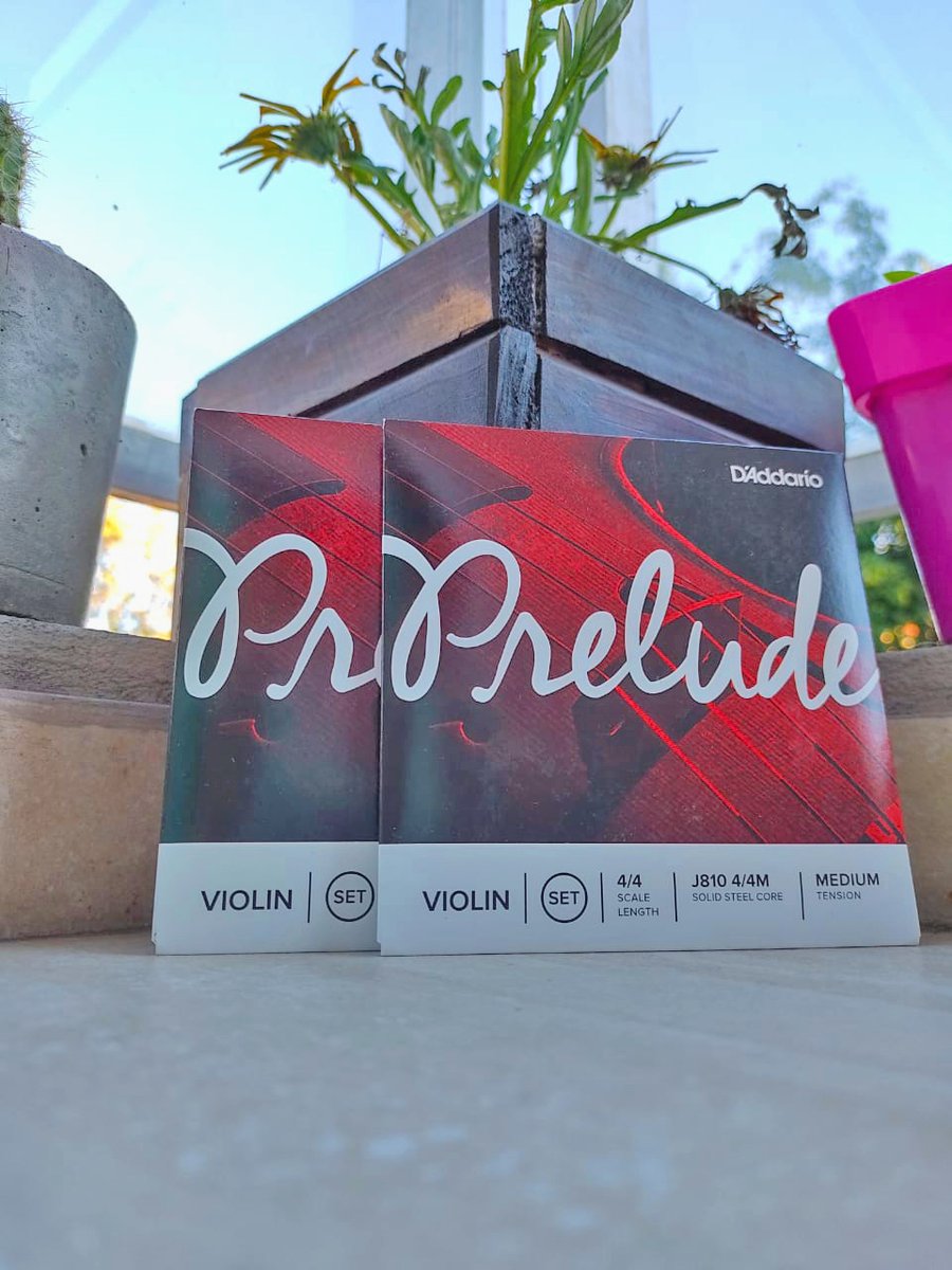 Las cuerdas Prelude son la opción preferida por los Maestros para las cuerdas de los estudiantes debido a su combinación única de tono cálido, durabilidad y valor.
#Prelude #Violin #DAddario #maestrosindestructibles