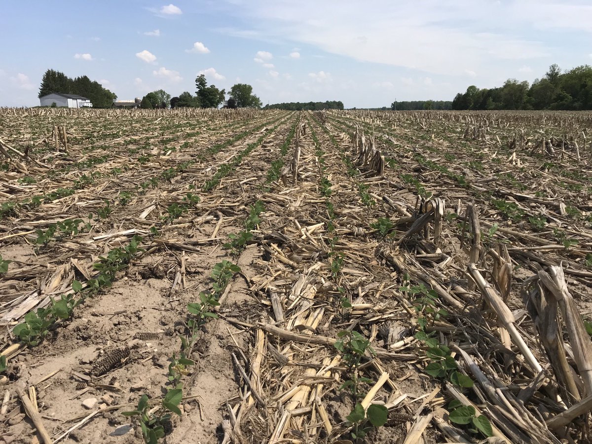 It’s a bit trickier but you can still no-till soys into corn stalks with an old JD 750 drill. No-till, no gps, no problem.