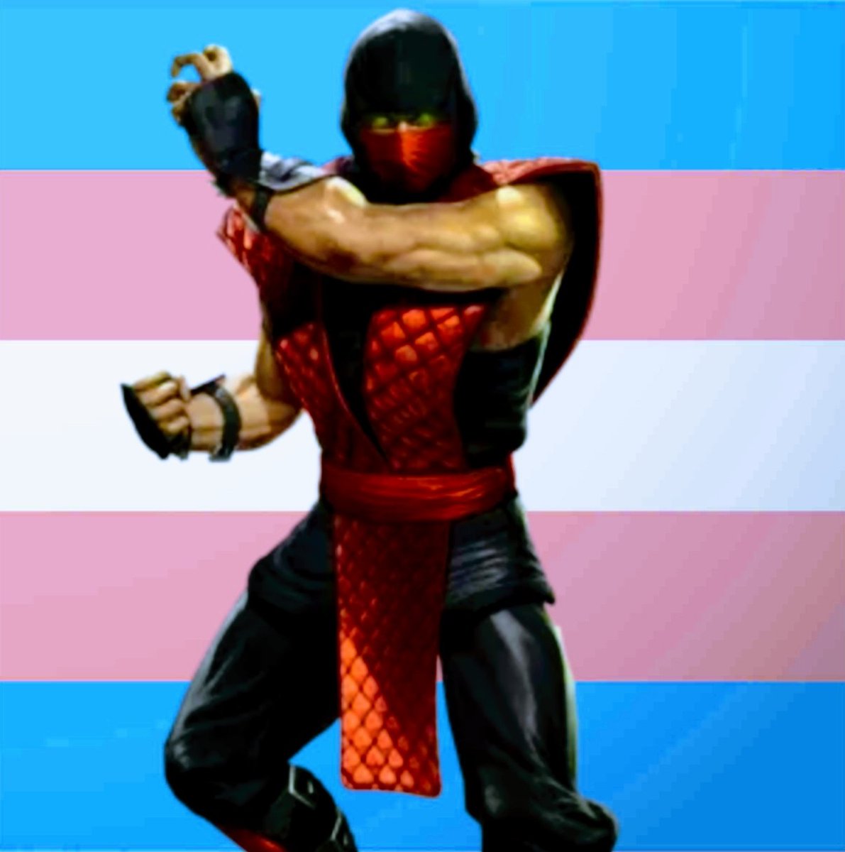 Random_Human333's tweet photo. Ermac Edits
#MortalKombat #mk #mortalkombat9 #mk9 #ermac #mkermac #trans #nonbinary #headcanon #edit https://t.co/5MJMEOx3kJ