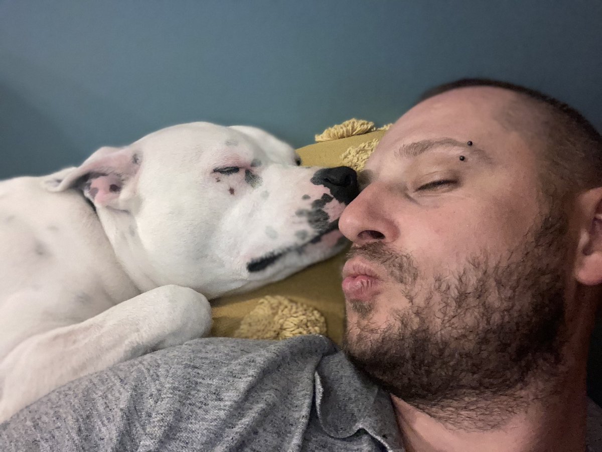 Vader1906's tweet photo. Tate śpię daj pyska i śpię dalej... #Romek #stafior #stafik #kochampsy #StaffordshireBullTerrier #Staffordshire https://t.co/8rFC723LZz