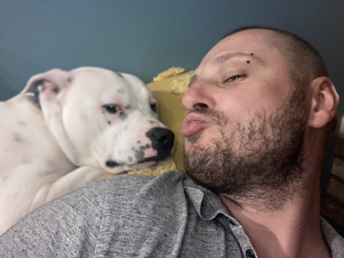 Vader1906's tweet photo. Tate śpię daj pyska i śpię dalej... #Romek #stafior #stafik #kochampsy #StaffordshireBullTerrier #Staffordshire https://t.co/8rFC723LZz