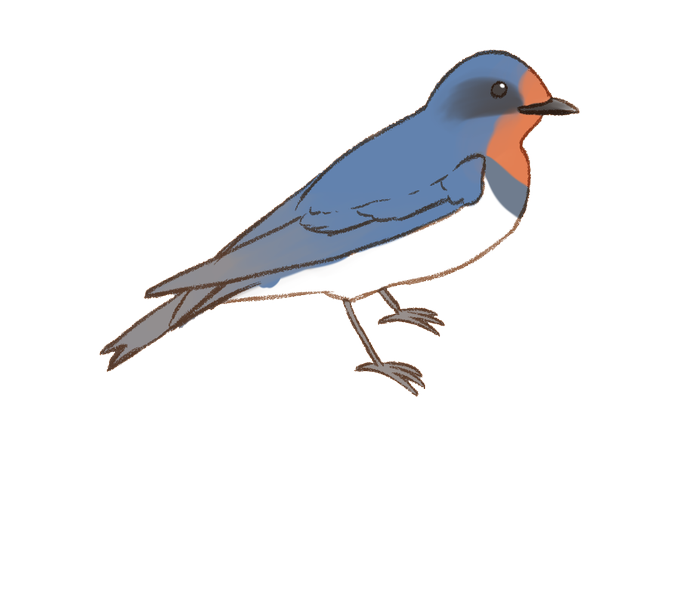 夏鳥のtwitterイラスト検索結果